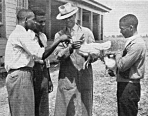 A group of students examine a duck