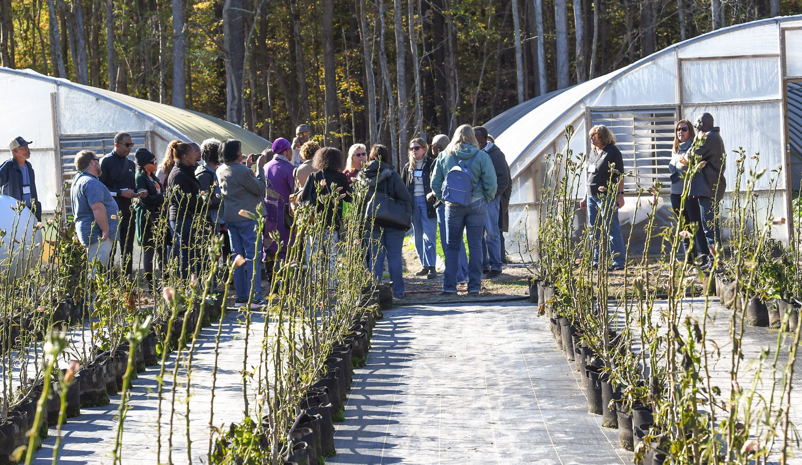 Small Farm Conference attendees visit Tawallah Farm in Somerset County.