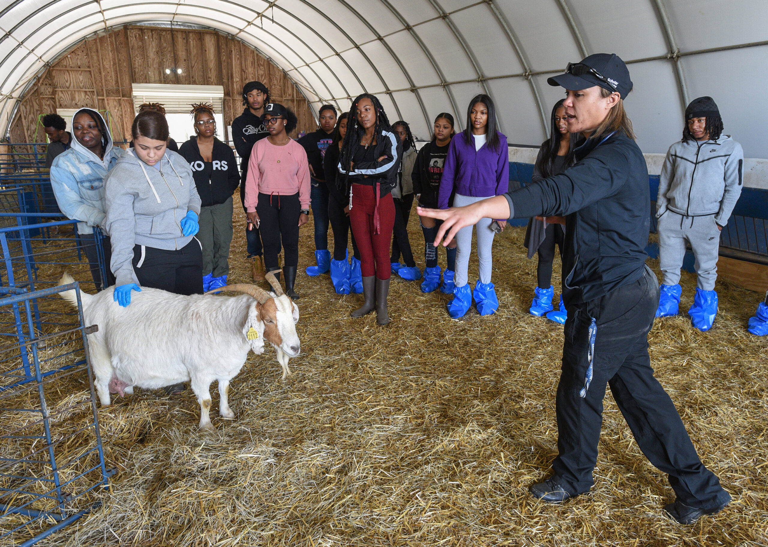 Students visit UMES small ruminant farm.