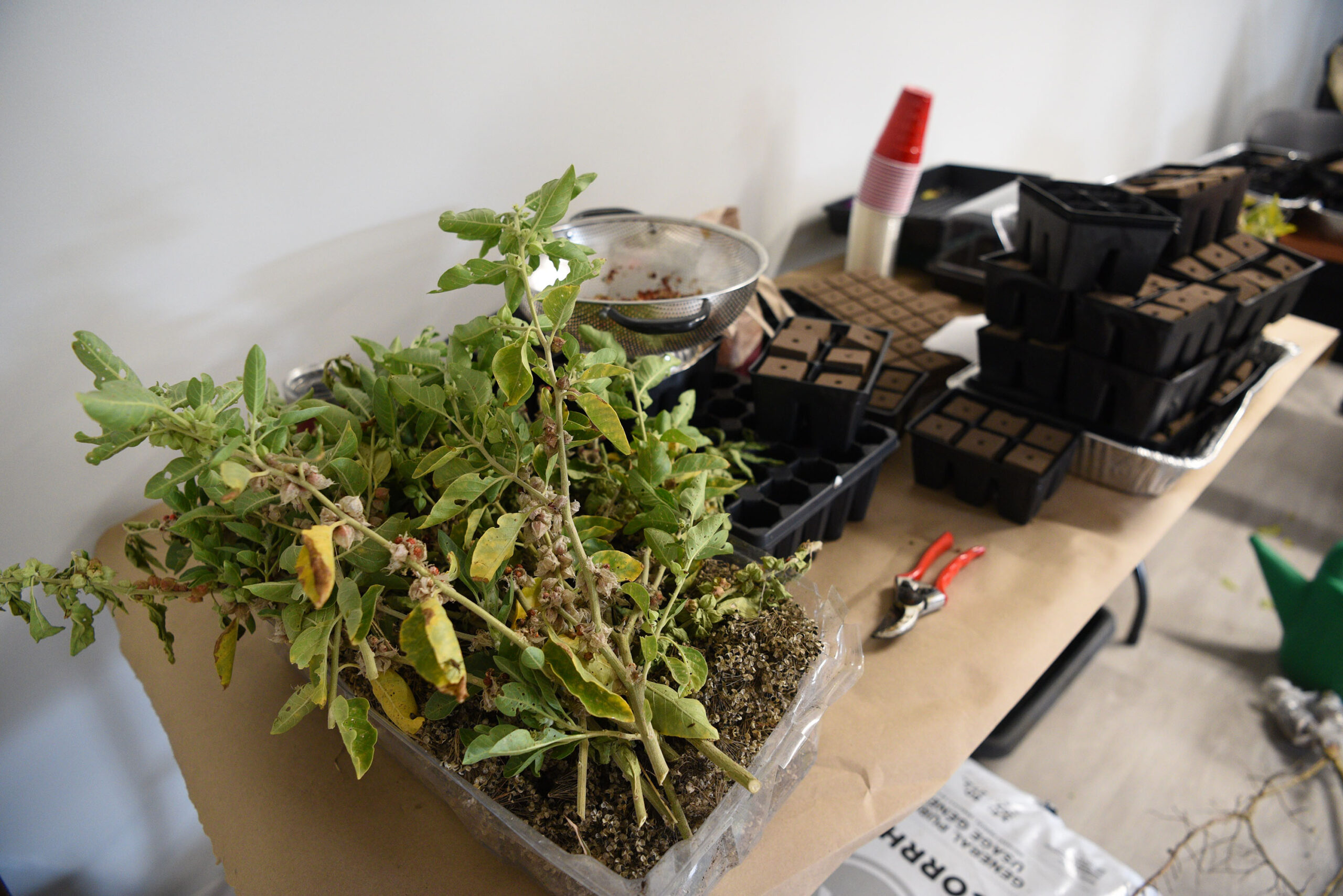 Plant workshop.