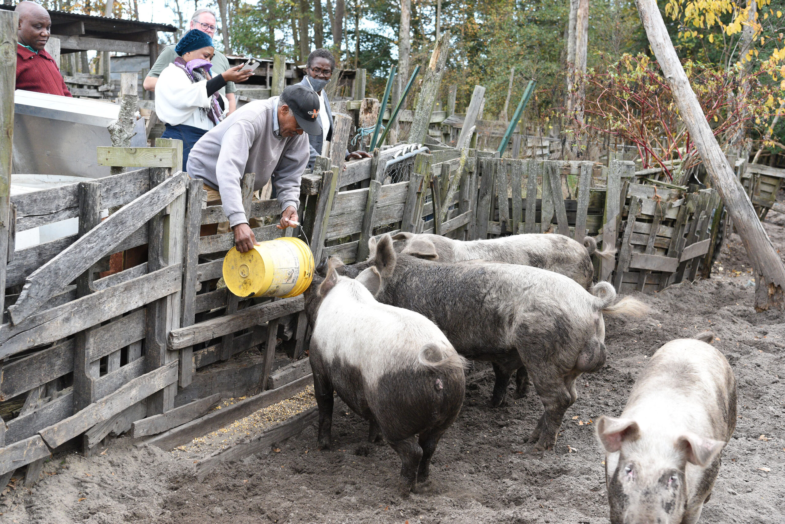 Small Farm Conference attendee visit a pig farm.