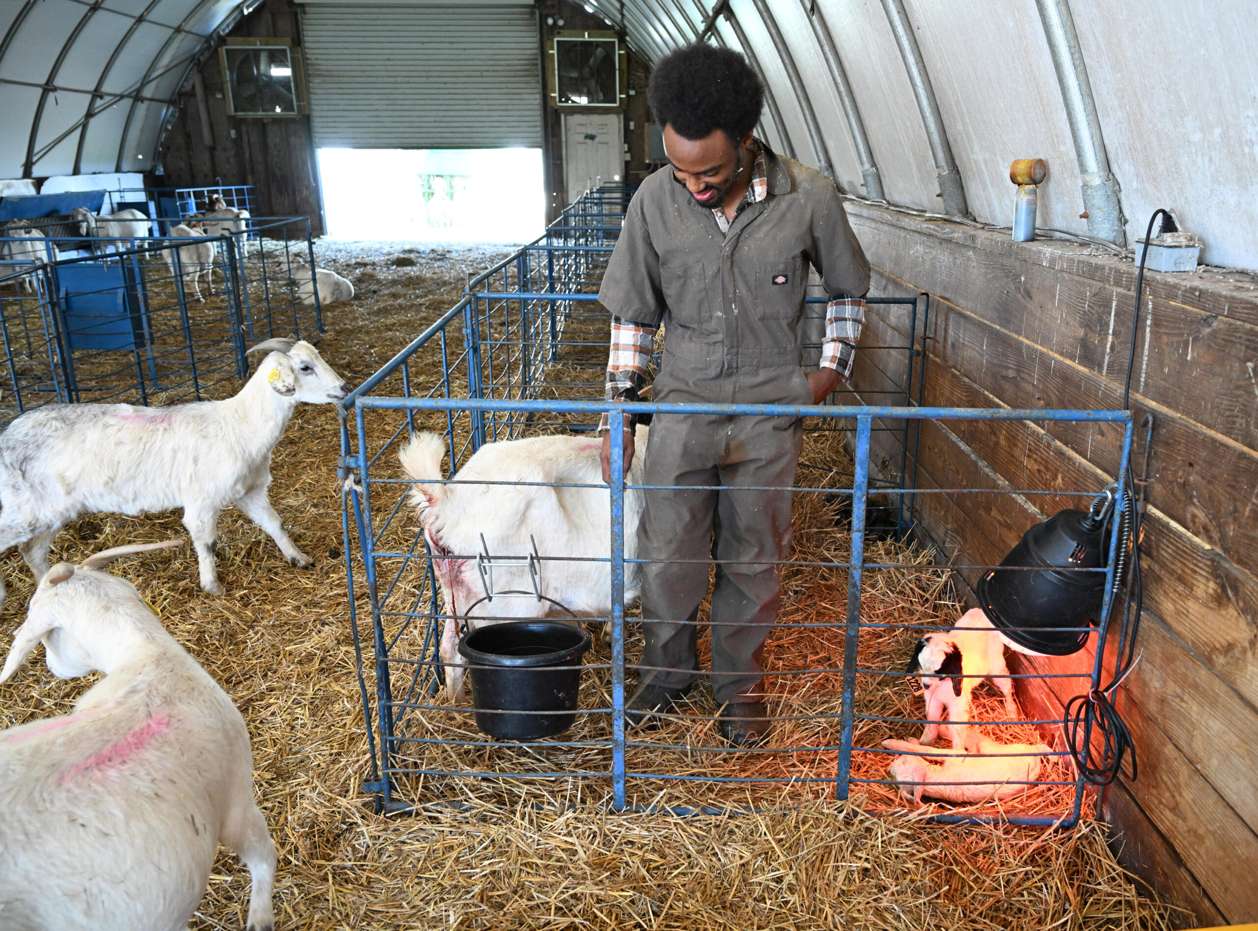 Student Donovan Grady works at the UMES farm.