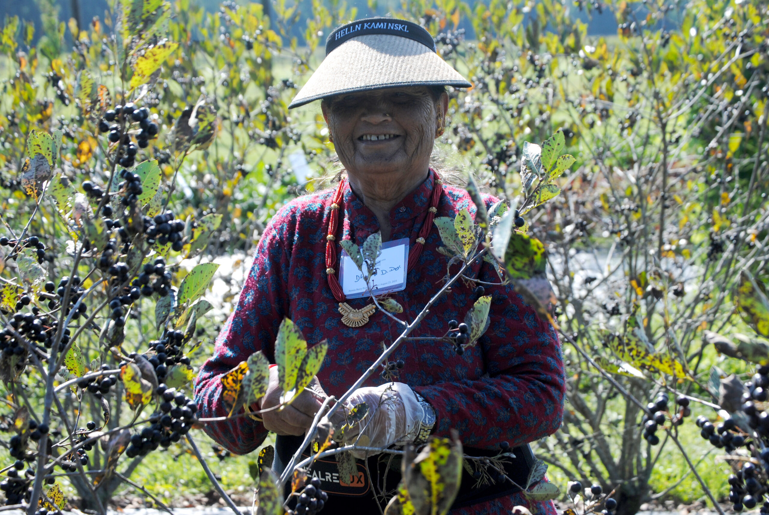 A participant picks aronia berries at UMES farm.