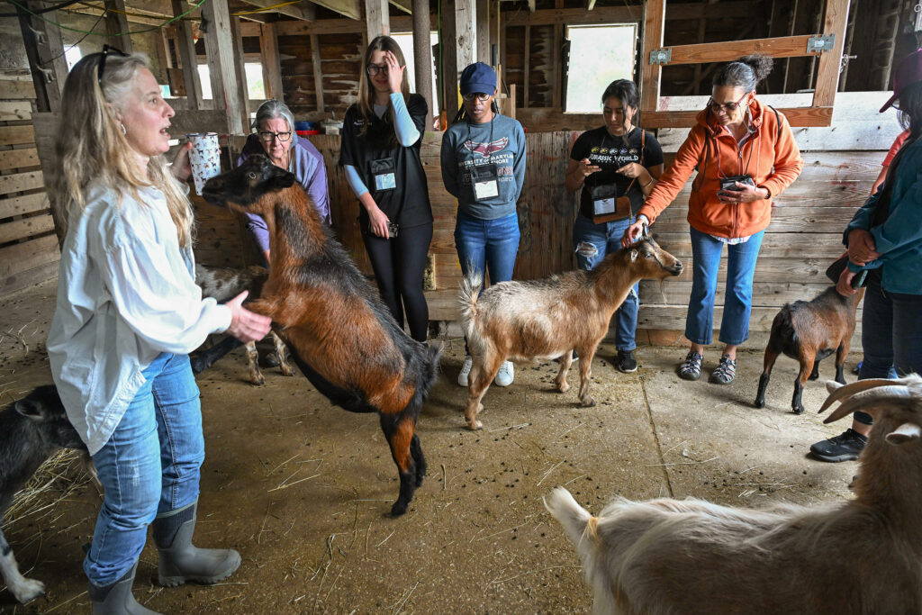 Farm stays and farm tours are a popular agritourism activity in Maryland.