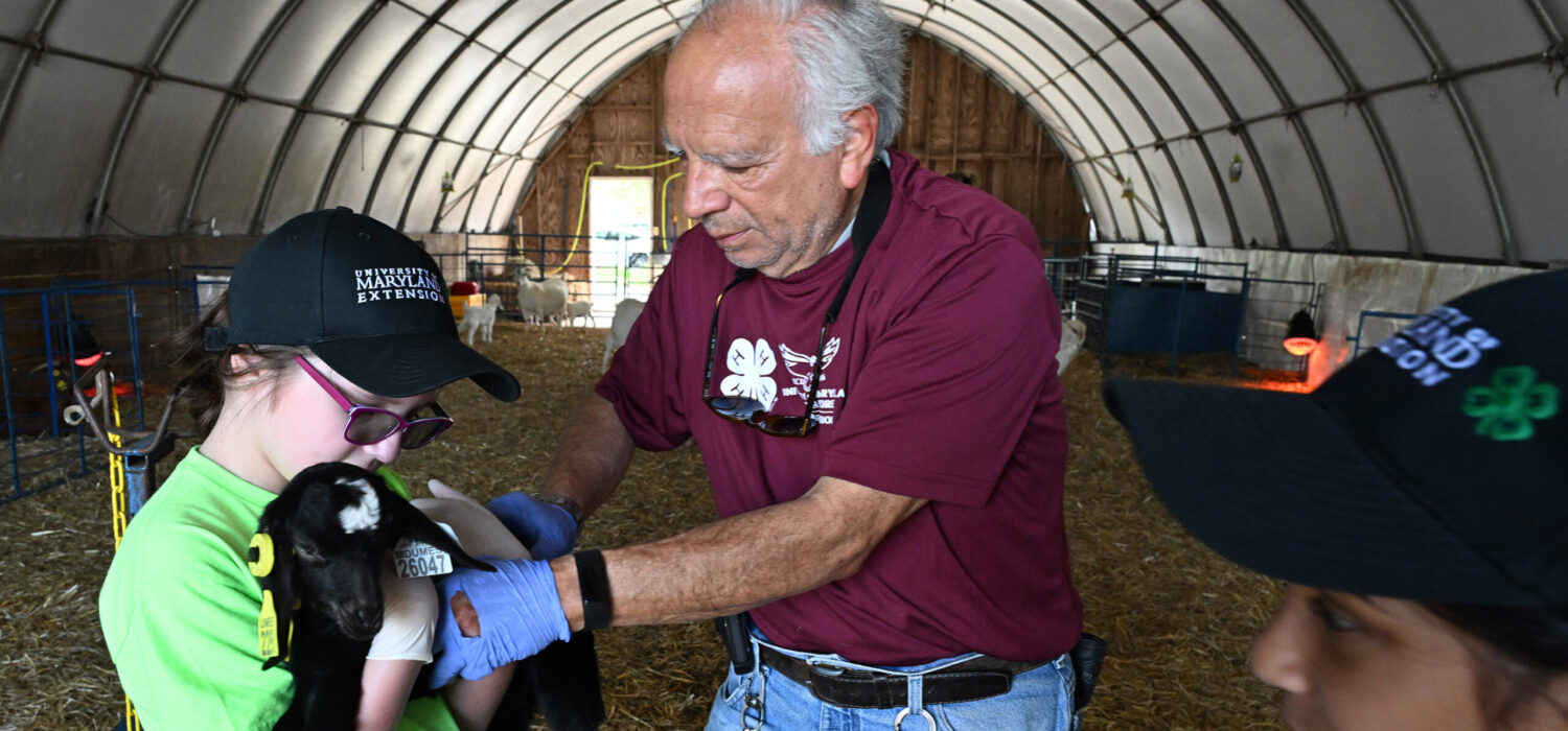 Associate Dean and small ruminant specialist Dr. E.N. Escobar helps a girl cuddle a goat.