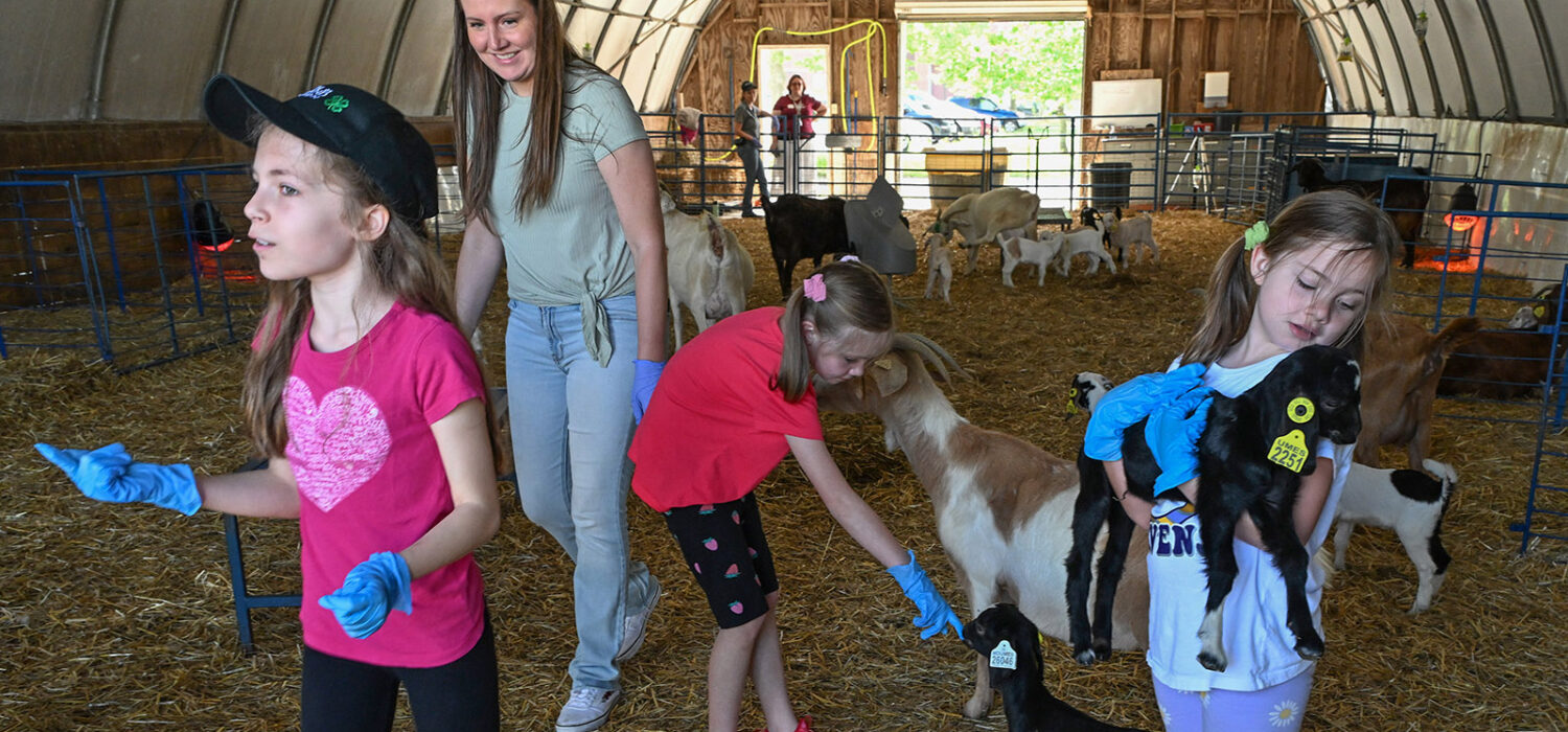 Youth from Delmarva visited the University of Maryland Eastern Shore Extension departments as part of a 4-H field trip Saturday, May 3, 2025. They visited Small Ruminants area and the strawberry research facility.