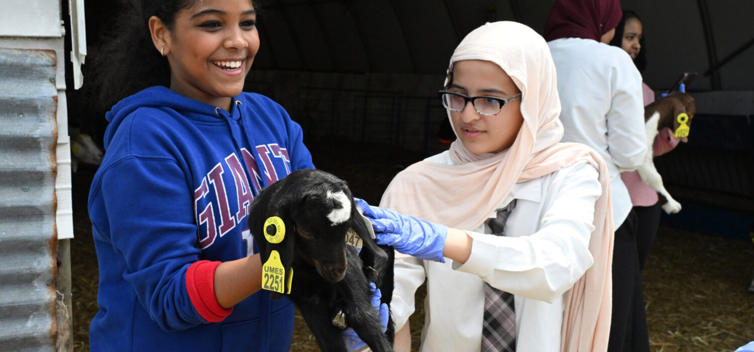 Youth from Delmarva visited the University of Maryland Eastern Shore Extension departments as part of a 4-H field trip Saturday, May 3, 2025. They visited Small Ruminants area and the strawberry research facility.