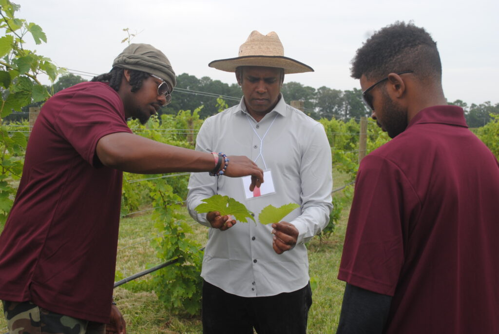 Dr. Sadanand Dhekney works on a research project with students.