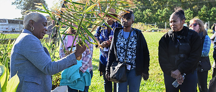 TGD-SMALLFARMS-102425-1586 Alternative Crop Specialist Dr. Nadine Burton shows some of the crops grown at the UMES farm.