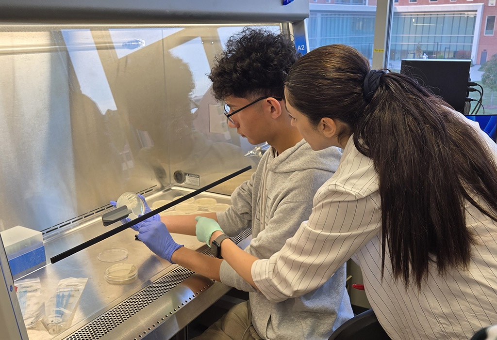 A high school student in the inaugural UMES Extension 4-H STEM Research Internship Program. works in a lab.