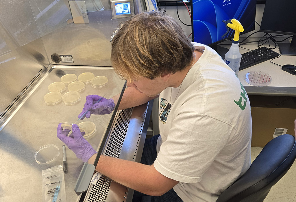 A high school student in the inaugural UMES Extension 4-H STEM Research Internship Program. works in a lab.
