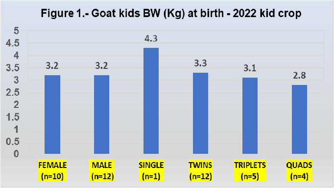 Figure 1 shows goat kids BW (kg) at birth — 20222 kid crop