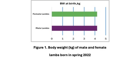 Figure 1 shows body weight (kg) of male and female born in spring 2022.