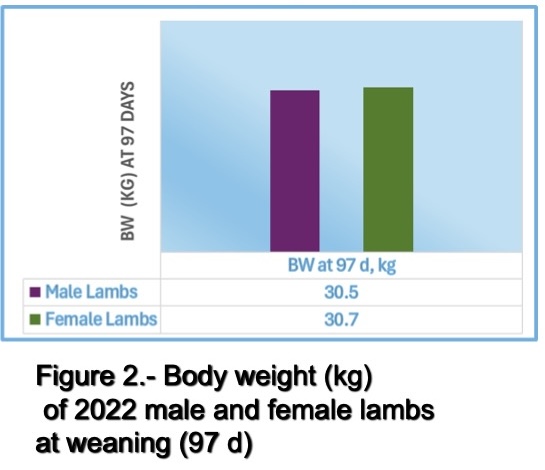 Figure 2 shows body weight (kg) of 2022 male and female lambs at weaning (97 d).