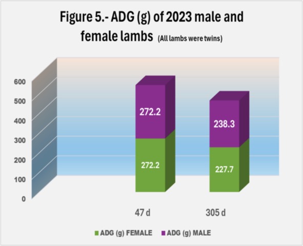 Figure 5 shows ADG (g) of 2023 male and female lambs (All lambs were twins)