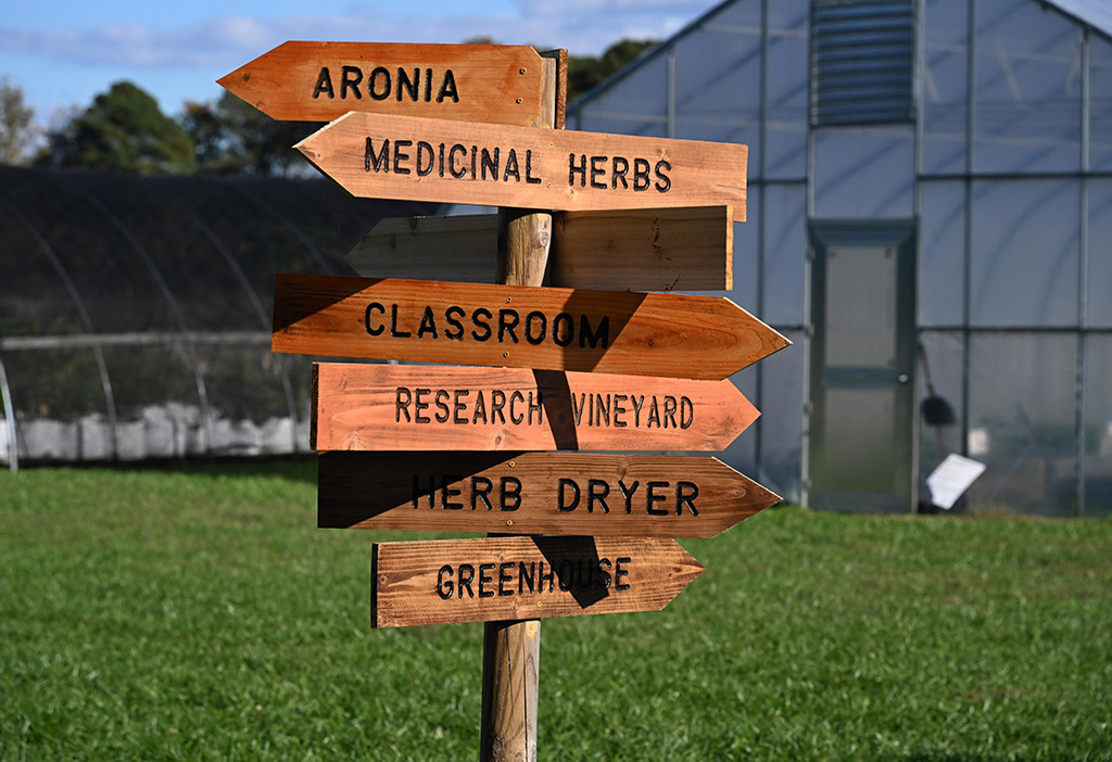 The herb garden invites farmers and home gardeners to see, taste and smell herbs.