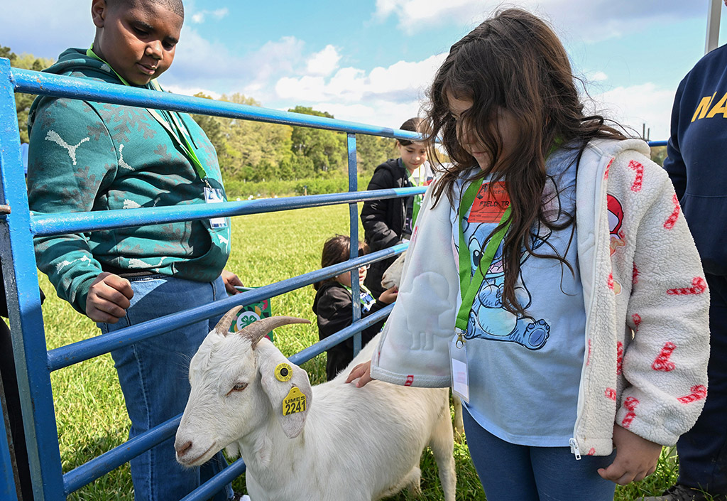 A student pets a goat at UMES Extension farm.