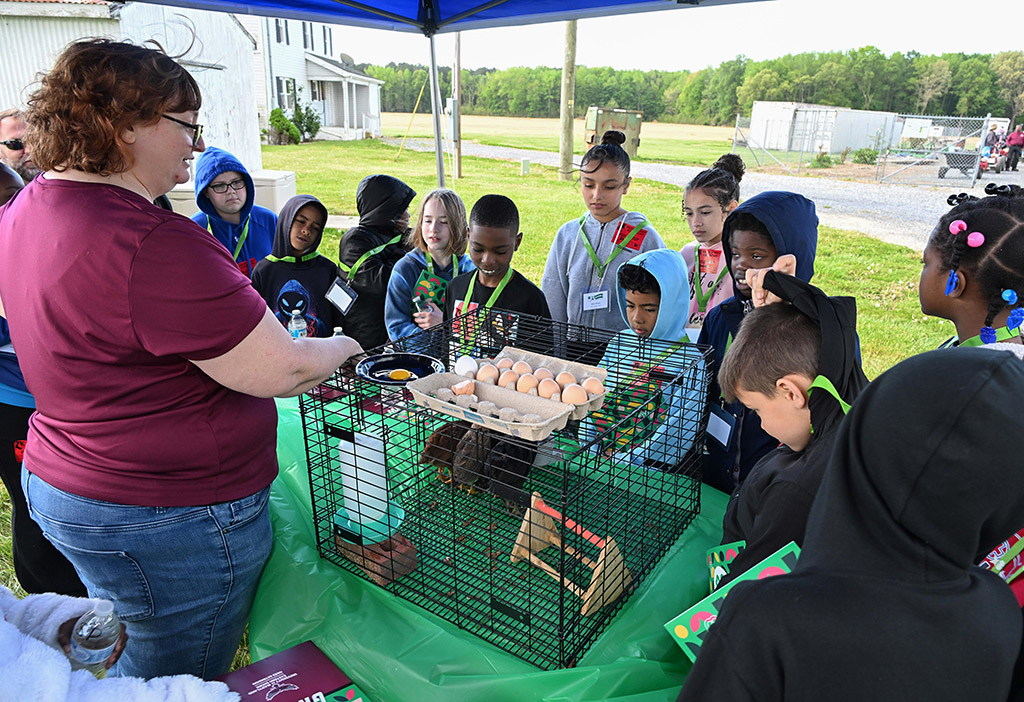 Students learn about chicken and eggs from UMES Extension's Ariel Clay.