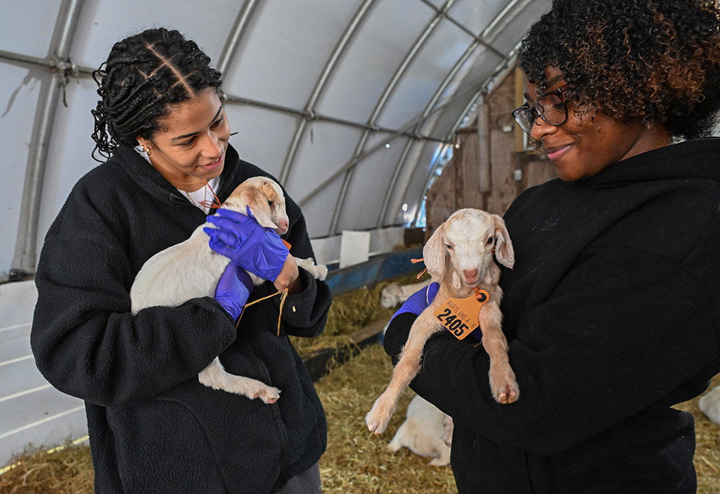 Student athletes Lilliana Montes and Gabrielle McCoy hold a couple of newborn goats at the UMES farm.