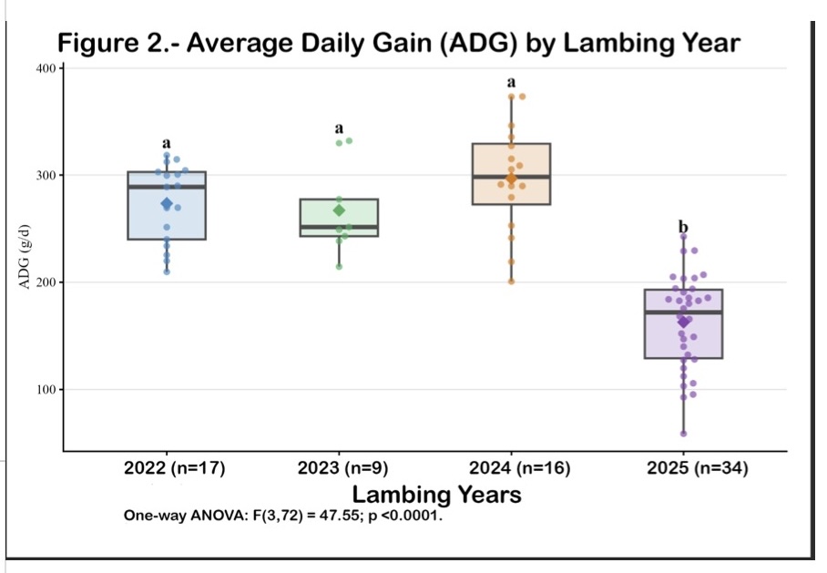 Chart shows Average Daily Gain by Lambing Year