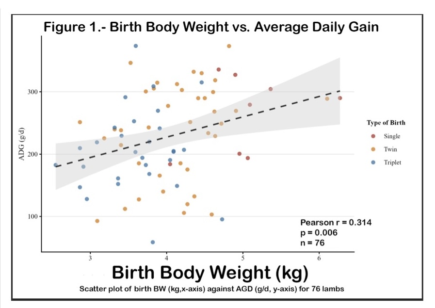 Chart shows birth body weight vs. average daily gain.