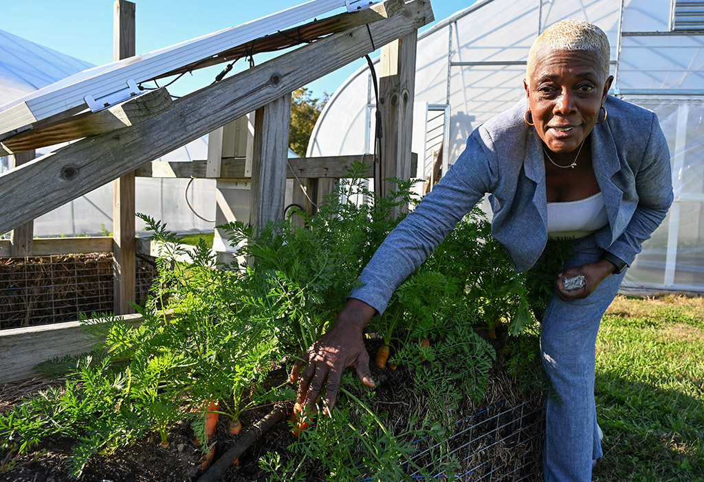 Alternative Crop specialist Dr. Nadine Burton points to one of the many crops grown at the University of Maryland Eastern Shore Extension farm.