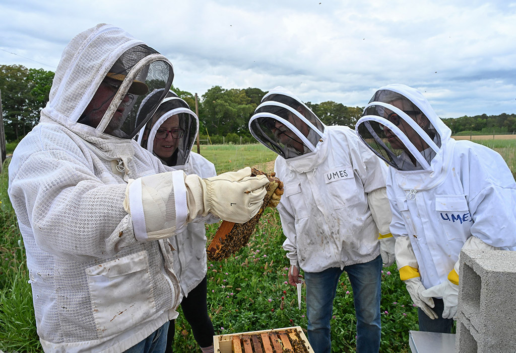 UMES Extension Program Assistant and beekeeper Stephen Goewey holds a workshop on performing first hive inspection in May 2026.