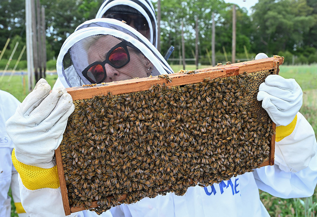 UMES Extension Program Assistant and beekeeper Stephen Goewey holds a workshop on performing first hive inspection in May 2026.