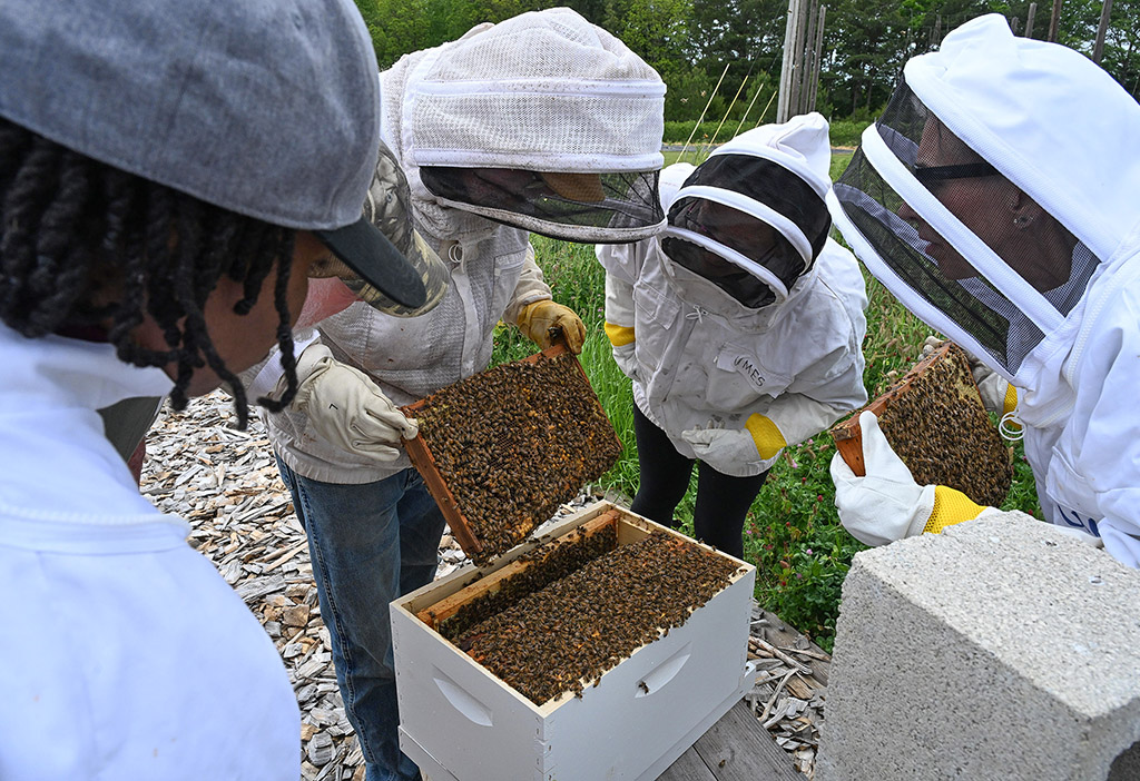 UMES Extension Program Assistant and beekeeper Stephen Goewey holds a workshop on performing first hive inspection in May 2026.