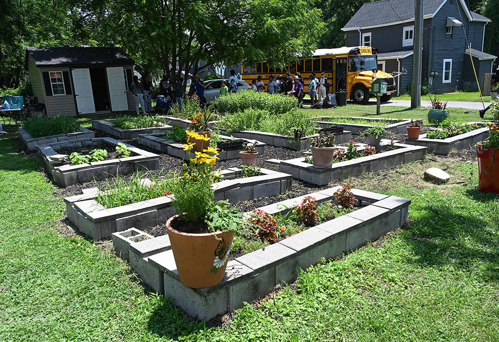 Students from Camp SLAM, a summer program for middle school students through Wicomico County Public Schools, work at the Todd Family Community Garden in Princess Anne.