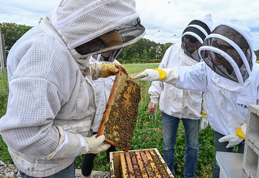 Participants in a UMES Extension workshop inspect bee hives at the university's apiary.