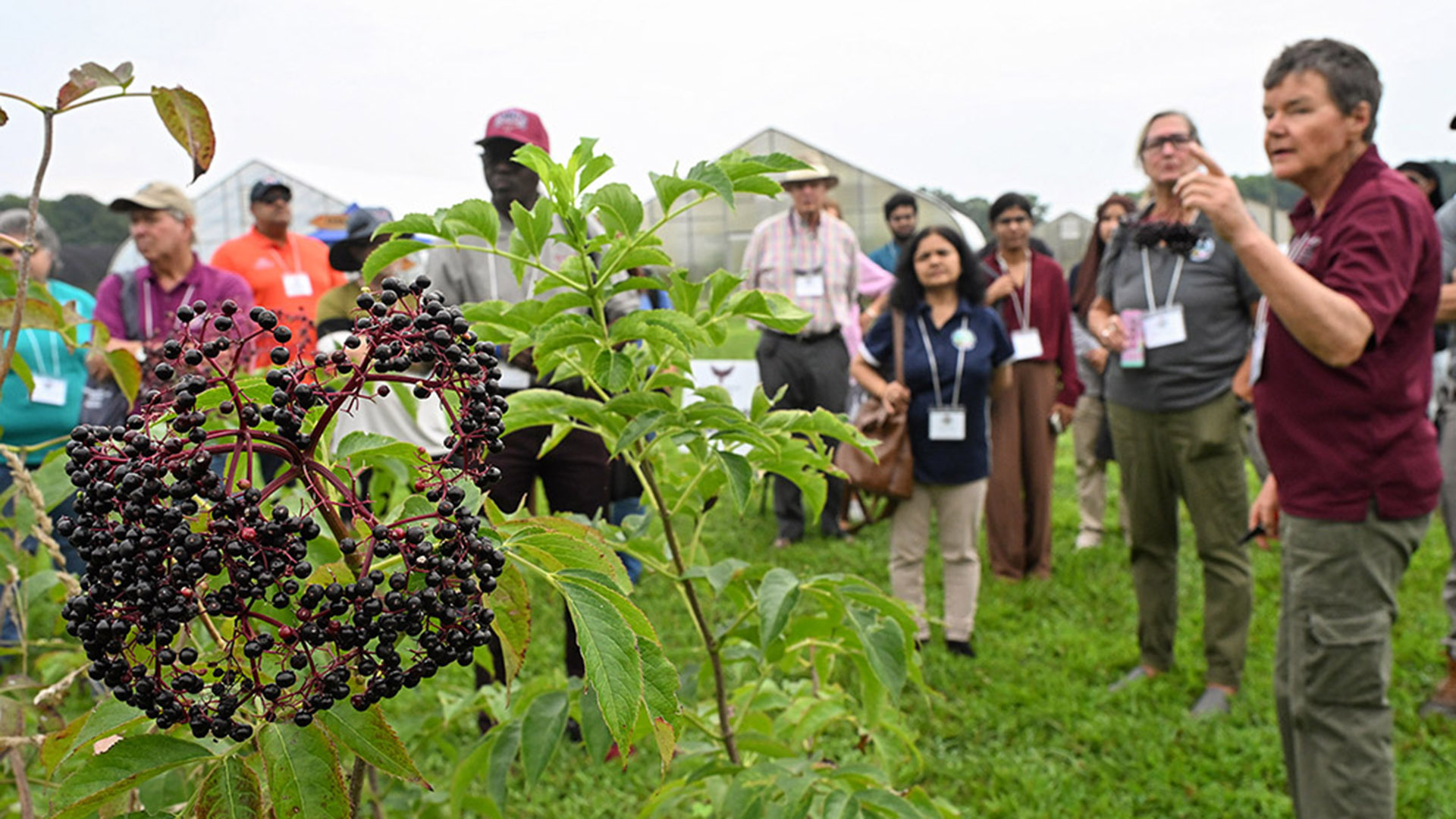 TGD-agshowcase-1150 UMES Extension herb specialist Henriette Den Ouden speaks at 2026 Ag Showcase.