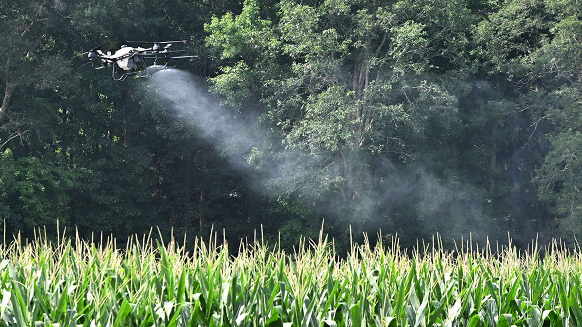 TGD-agshowcase-1727 Sentinel Robotics holds a drone demonstration during Ag Showcase.