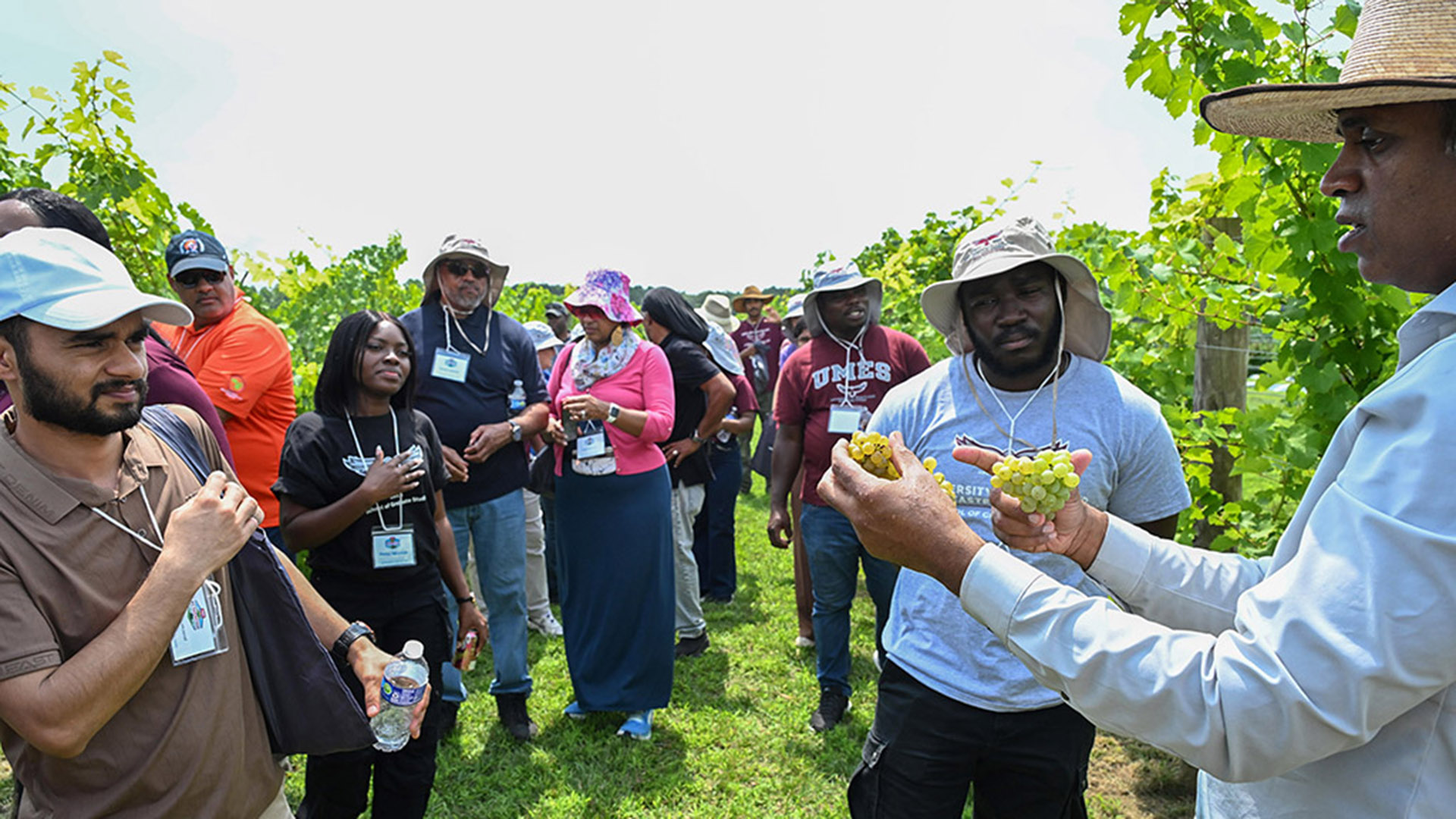 TGD-agshowcasegrapes-2008 UMES Professor Sadanand Dhekney speaks about grape research at 2026 Ag Showcase.