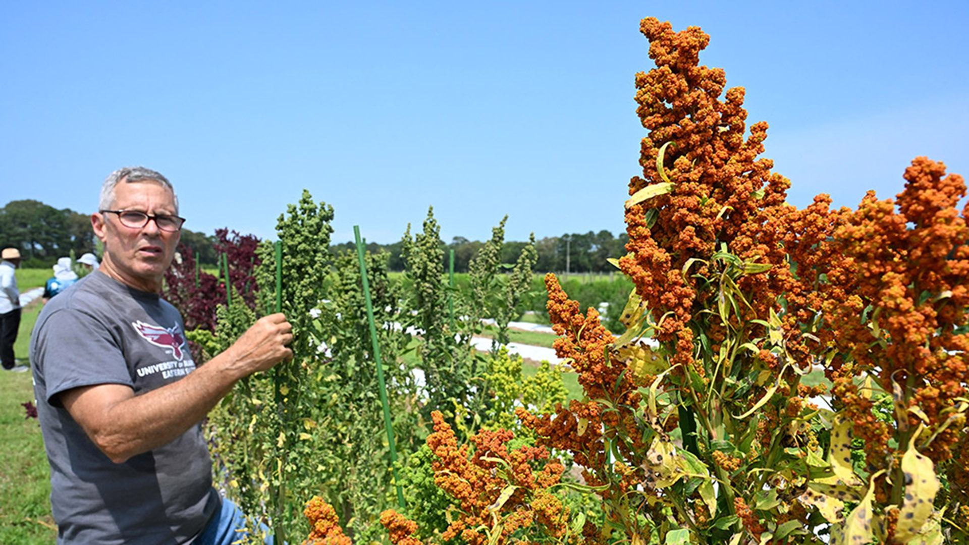 TGD-agshowcasequinoa-2205 UMES Agricultural Technician Michael Foland talks to Ag Showcase attendees.
