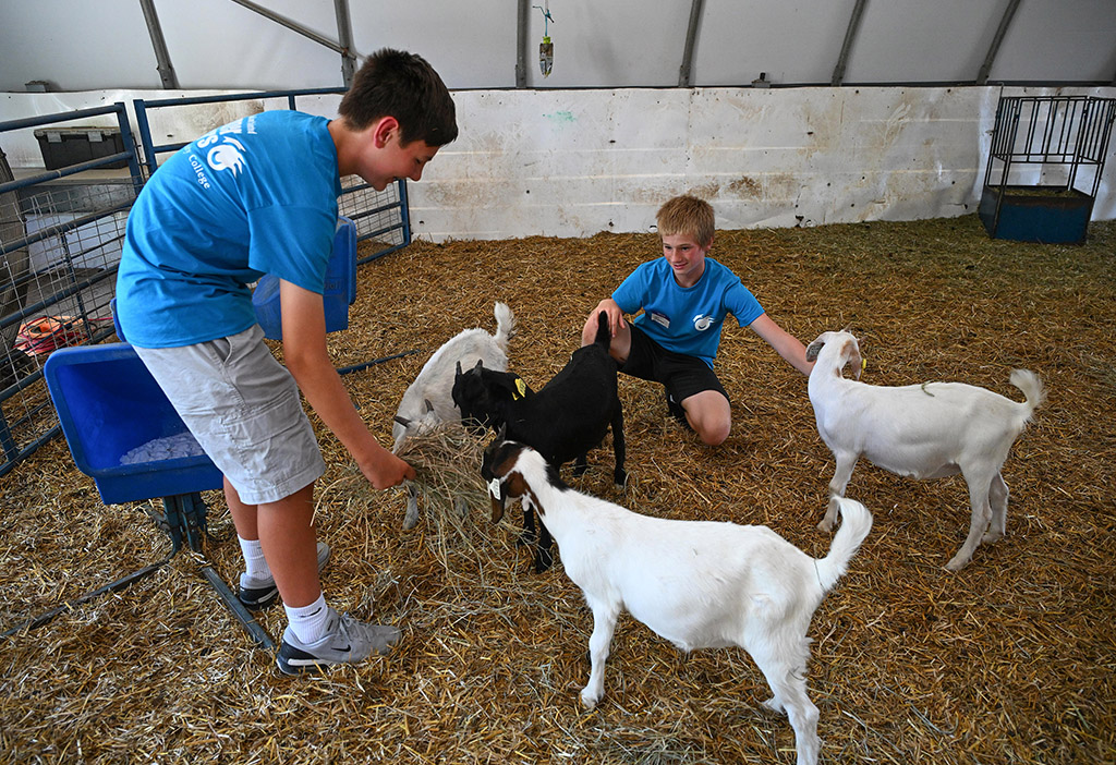 Wor-Wic Community College Gifted and Talented Summer Scholars visit goats and sheep at the UMES Small Ruminant Farm.