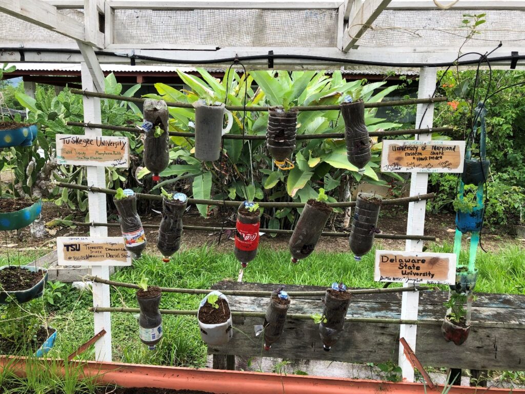 Urban Ag in Costa Rica