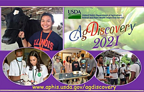AgDiscovery