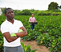 Farmers working in a field.
