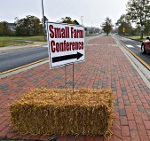 SFC-sign
