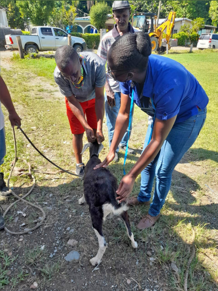 Experts at Center of Excellence for Food Security and Defense offer training in small ruminant production in Jamaica.