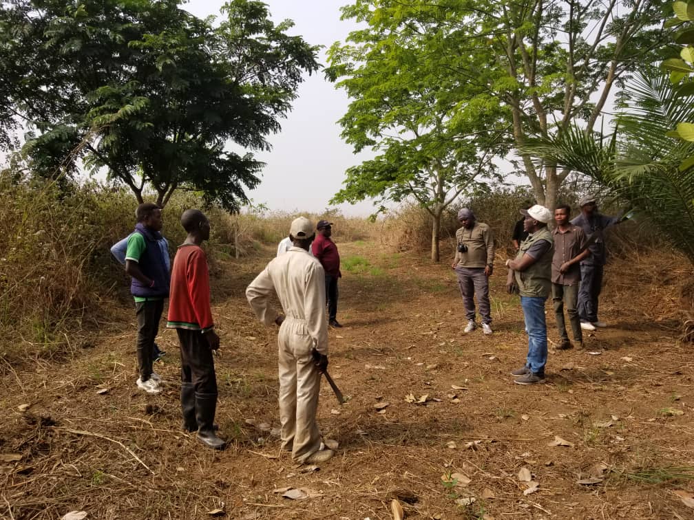 Experts from Center for Excellence for Global Food Security and Defense help small farmers in Congo.