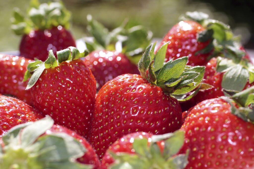 Strawberries-extend season