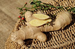 Growing ginger