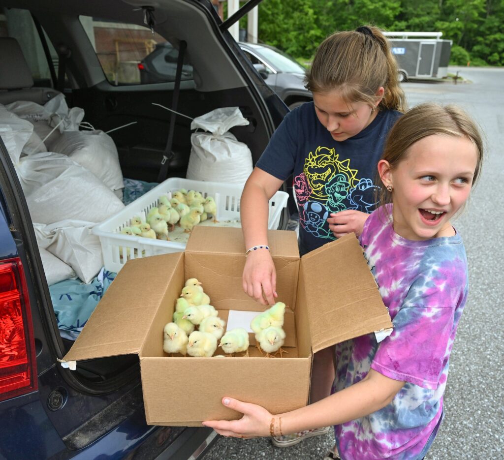 UMES Extension 4-H STEM project helped youth experience raising chickens.