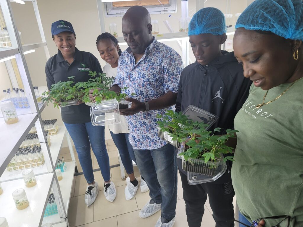 CEGFSD Associate Director Stephan Tubene works with students on an agricultural research project.