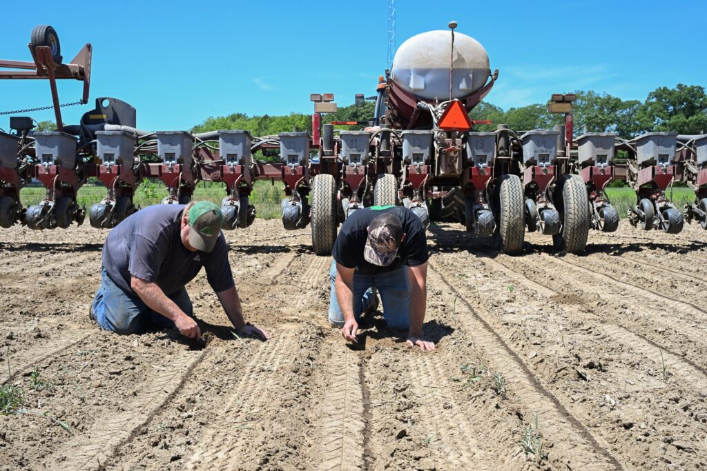 Corn and soybean trials are held at the University of Maryland Eastern Shore farm.