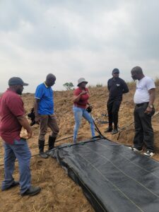 During drip irrigation training at UNIKIN experimental station, new technology was introduced.