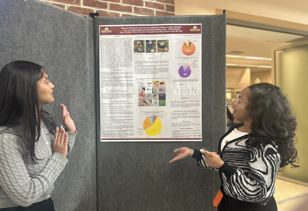 Students showcase research at School of Agricultural and Natural Sciences’ Center for Student Excellence's second Student-led Undergraduate Research Symposium.