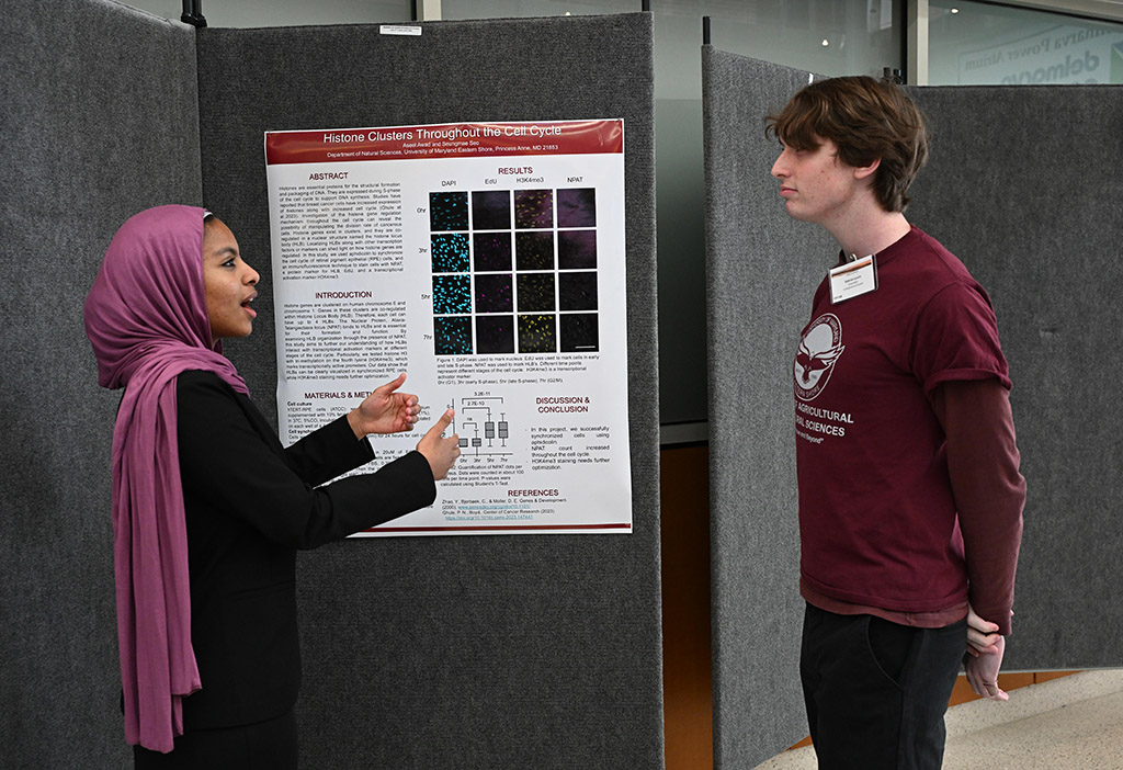 Students showcase research at School of Agricultural and Natural Sciences’ Center for Student Excellence's second Student-led Undergraduate Research Symposium.